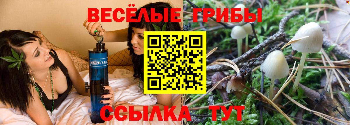 Армавир  Псилоцибиновые грибы Psilocybe  Псилоцибиновые грибы GOLDEN TEACHER  Вход с VPN 
